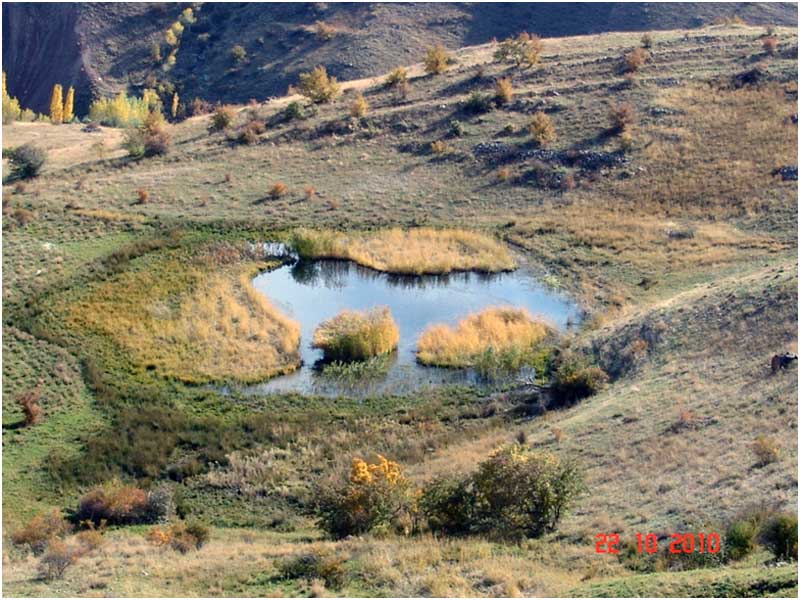 Çıplak/Cılbah Göl ve Gödüren Gölü Yüzen Adaları