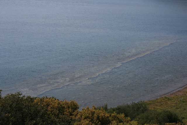 İzmir Karaburun Arazi Çalışması